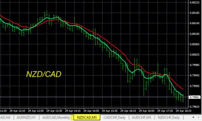 4-29-2026 NZDCAD Chart.jpg