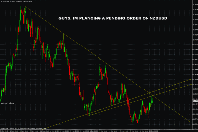 nzdusd pending order.gif