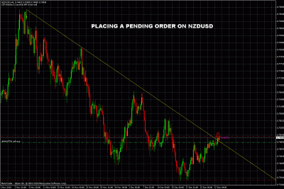 nzdusd pending order.gif