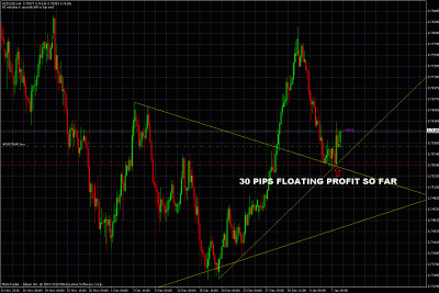nzdusd trade update.gif