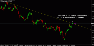 nzdusd.gif