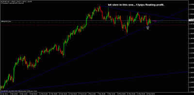 audnzd.gif