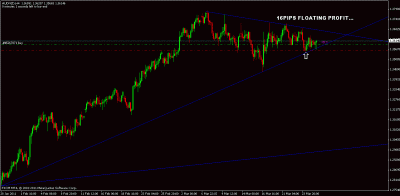 audnzd.gif