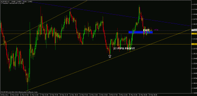 audnzd.gif
