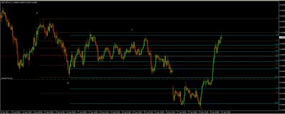 nzdchf.jpg