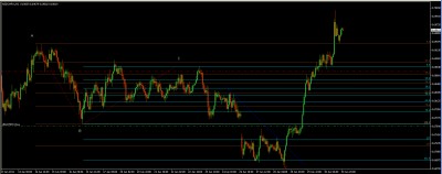nzdchf.jpg