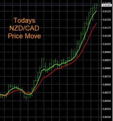 8-1-2022 NZDCAD Chart.jpg