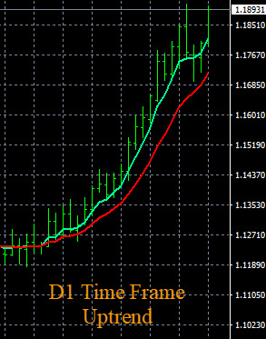 currency-strength-indicator-D1.jpg